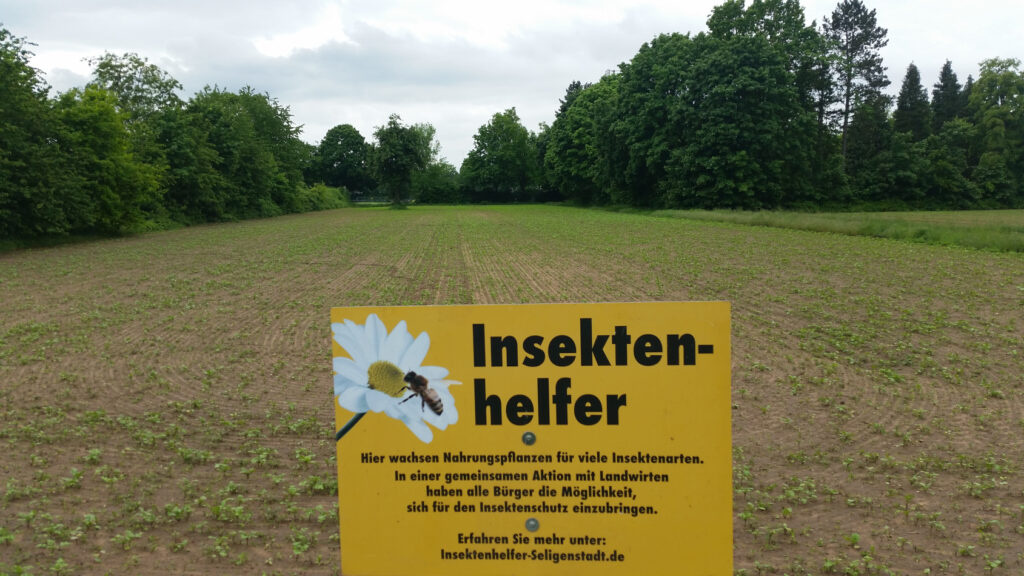 Dieses Bild hat ein leeres Alt-Attribut. Der Dateiname ist 20210527_185311-1024x576.jpg